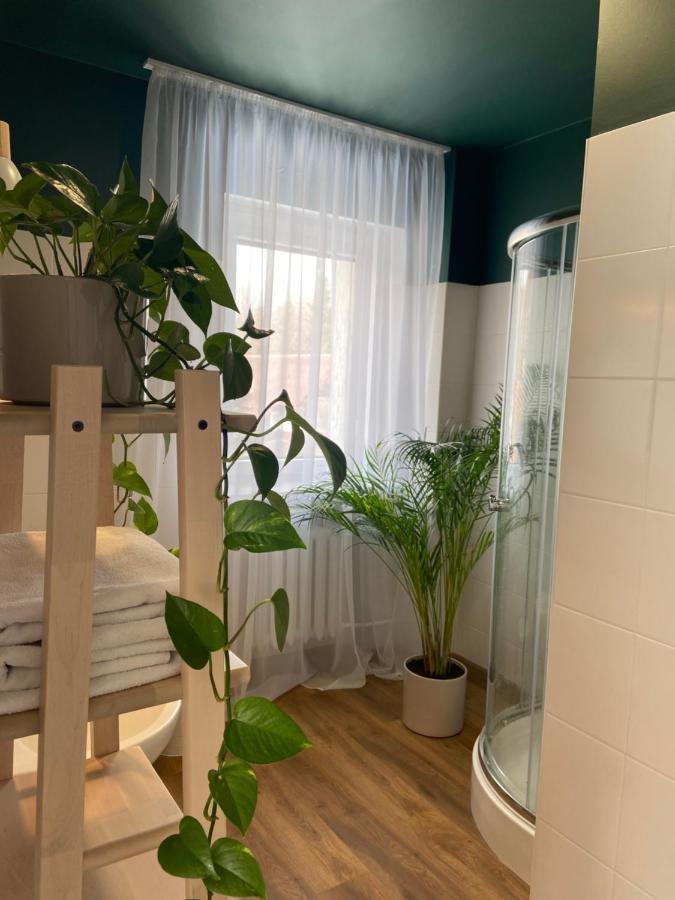 Szarotka Apartment Karpacz Bagian luar foto